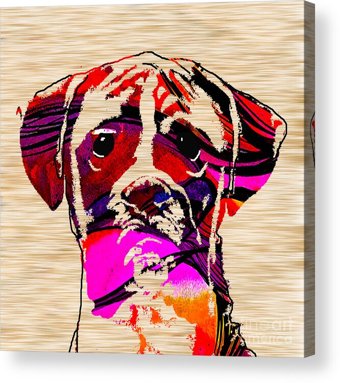 Boxer Paintings Mixed Media Acrylic Print featuring the mixed media Boxer #3 by Marvin Blaine