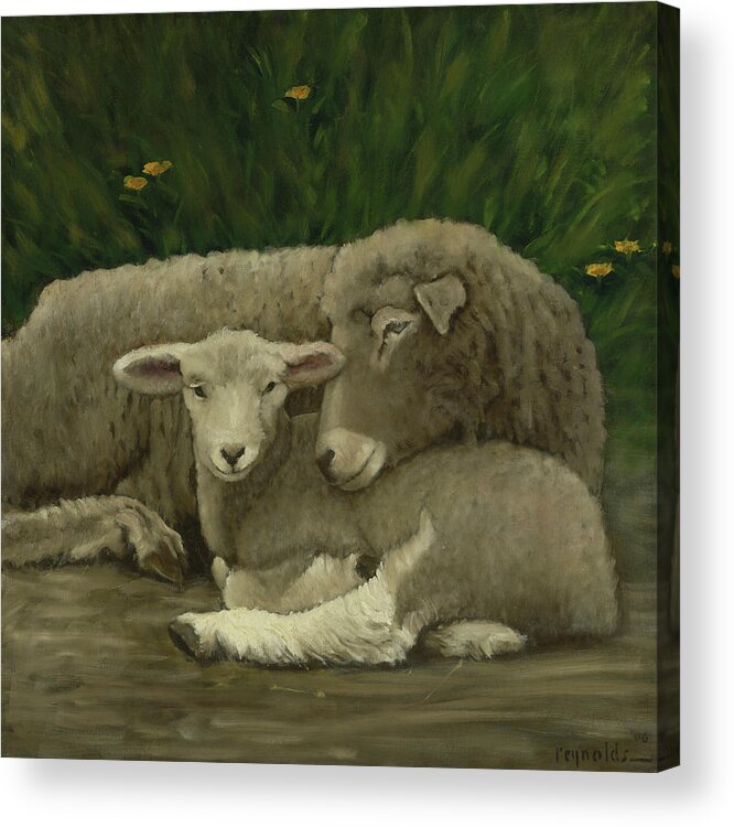 Sheep Acrylic Print featuring the painting Mother And Lamb #3 by John Reynolds