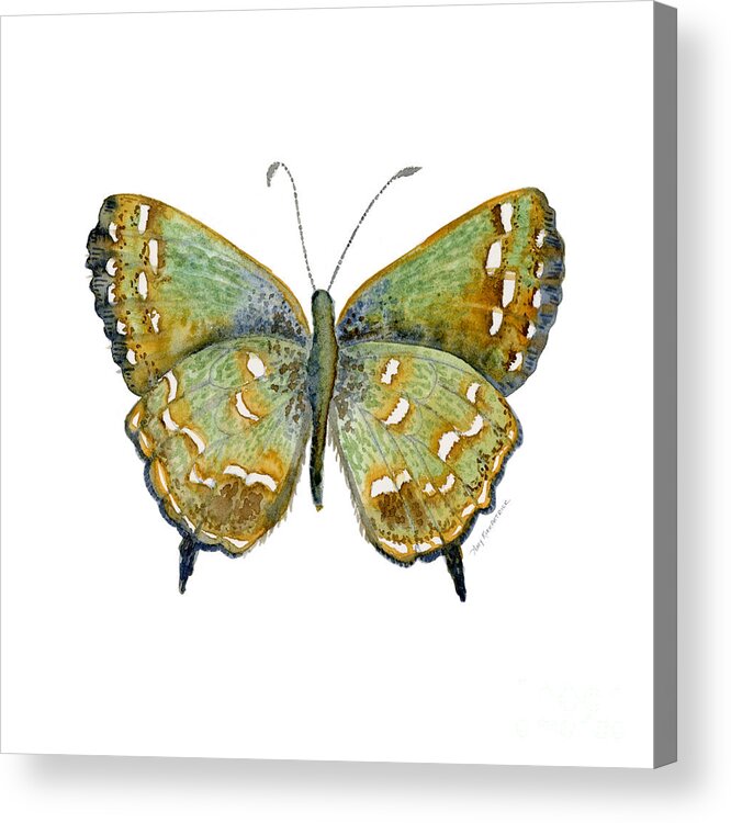 Hesseli Butterfly Acrylic Print featuring the painting 38 Hesseli Butterfly by Amy Kirkpatrick