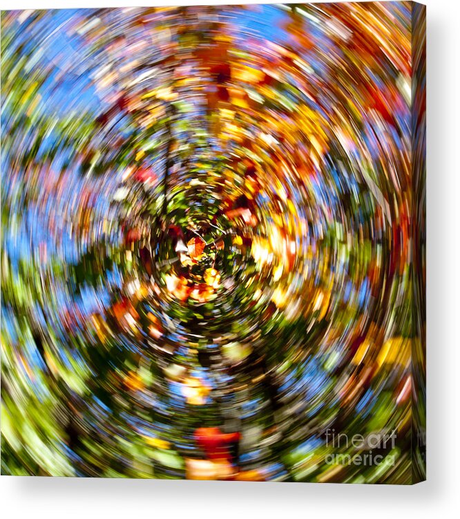 Autumn Acrylic Print featuring the photograph Fall abstract #5 by Steven Ralser