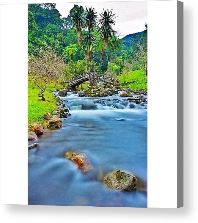 Beautiful Acrylic Print featuring the photograph Love This Picture? Check Out My Gallery #59 by Tommy Tjahjono