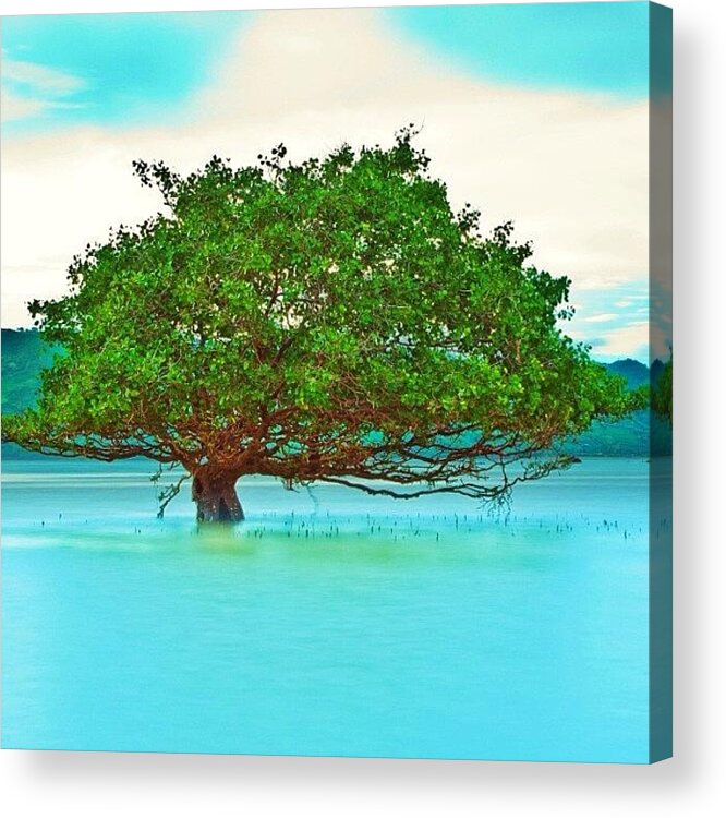 Instago Acrylic Print featuring the photograph Instagram Photo #641359324542 by Tommy Tjahjono