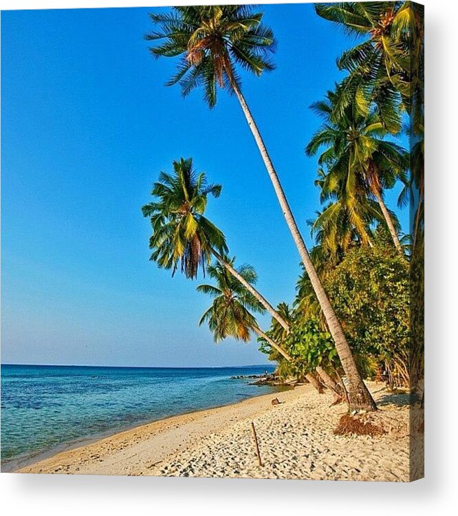 Summer Acrylic Print featuring the photograph Instagram Photo #641360879323 by Tommy Tjahjono