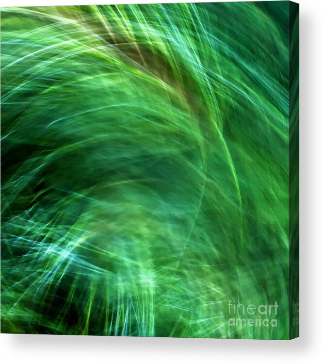 Joanne Bartone Photographer Acrylic Print featuring the photograph Meditations on Movement in Nature #7 by Joanne Bartone