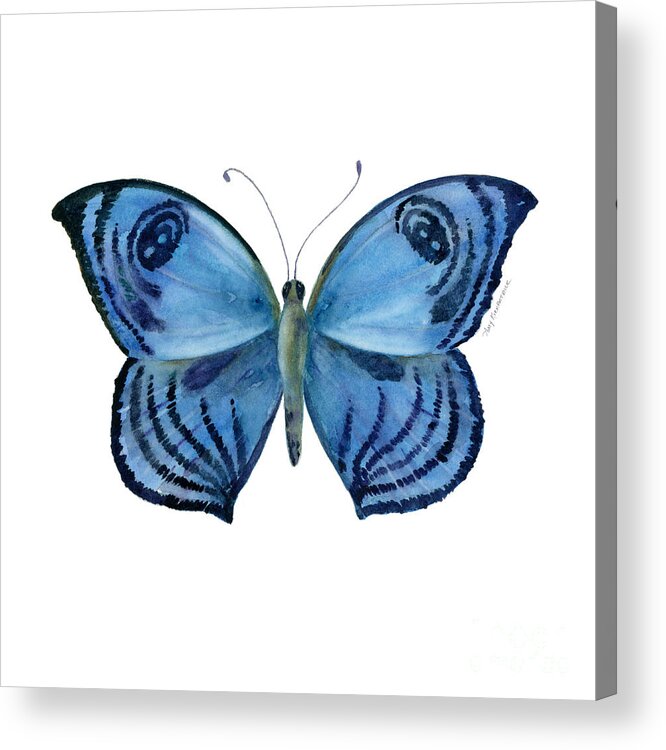 India Acrylic Print featuring the painting 75 Capanea Butterfly by Amy Kirkpatrick