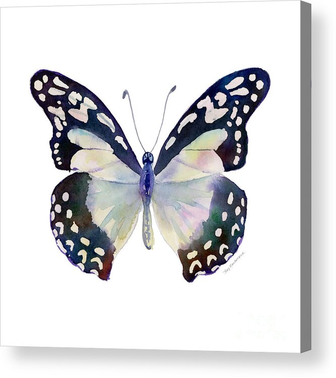 Angola White Lady Butterfly Acrylic Print featuring the painting 90 Angola White Lady Butterfly by Amy Kirkpatrick