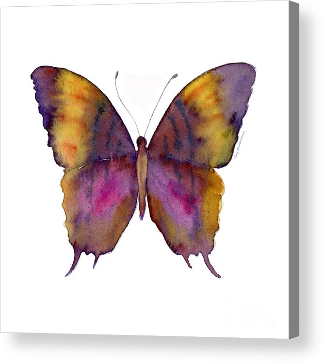 Marcella Daggerwing Butterfly Acrylic Print featuring the painting 99 Marcella Daggerwing Butterfly by Amy Kirkpatrick