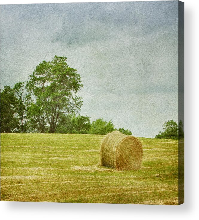 Agricultural Acrylic Print featuring the photograph A Day at the Farm by Kim Hojnacki