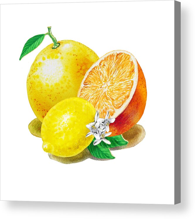 Grapefruit Acrylic Print featuring the painting A Happy Citrus Bunch Grapefruit Lemon Orange by Irina Sztukowski