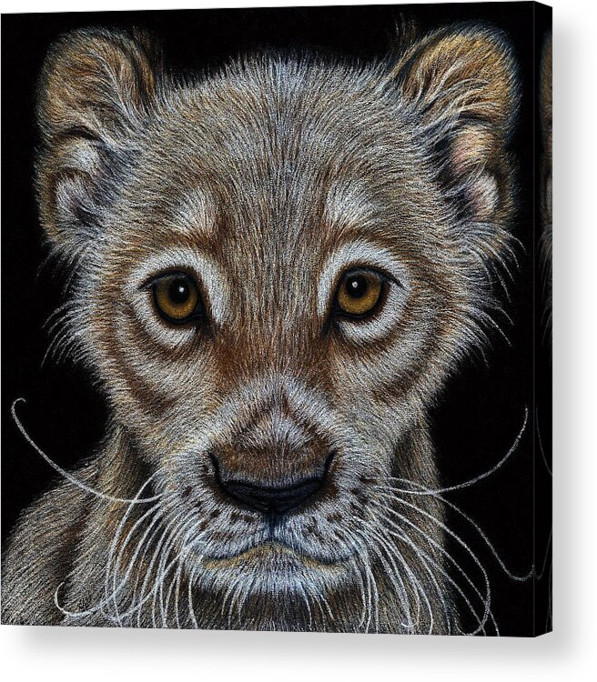 Animal Acrylic Print featuring the drawing A Pale Future King by Jo Prevost
