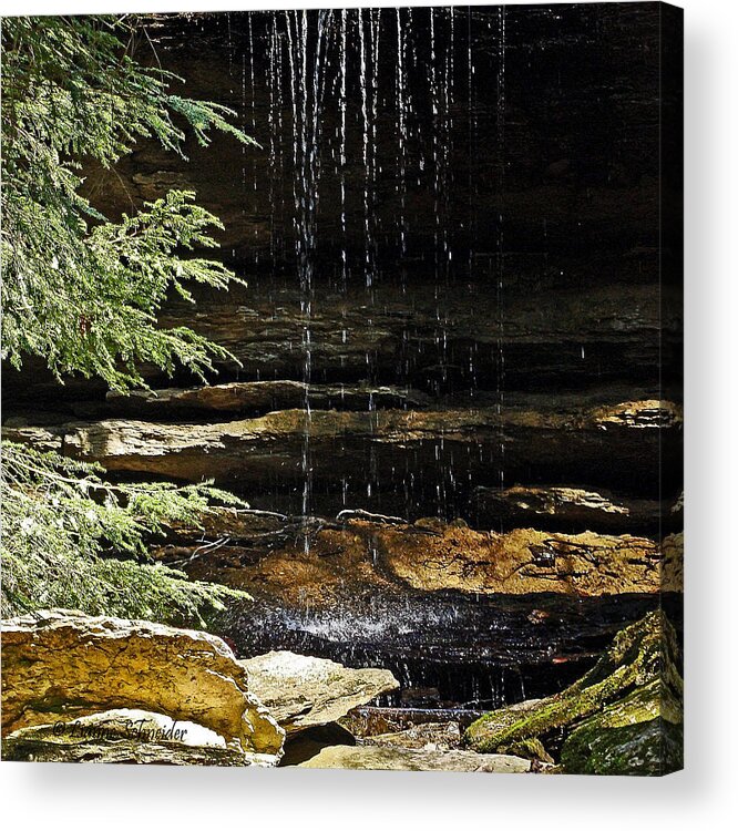 Waterfalls Acrylic Print featuring the photograph A Place To Reflect by Lianne Schneider