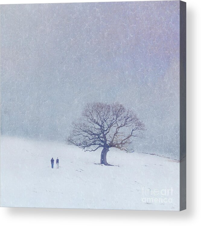 Tree Acrylic Print featuring the photograph A walk in the snow by Lyn Randle