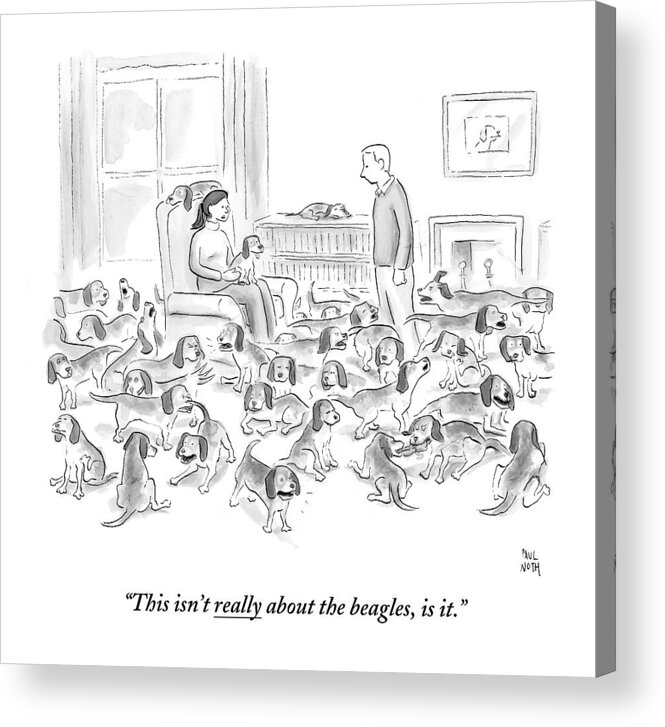 Dogs Acrylic Print featuring the drawing A Wife Surrounded By Beagles Addresses by Paul Noth