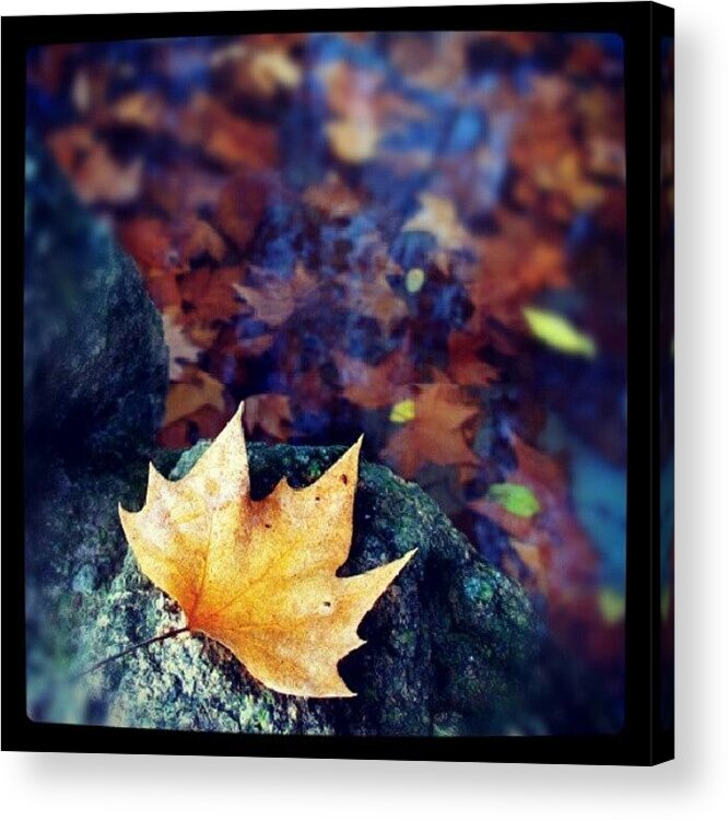 Beautiful Acrylic Print featuring the photograph After Rain by Emanuela Carratoni