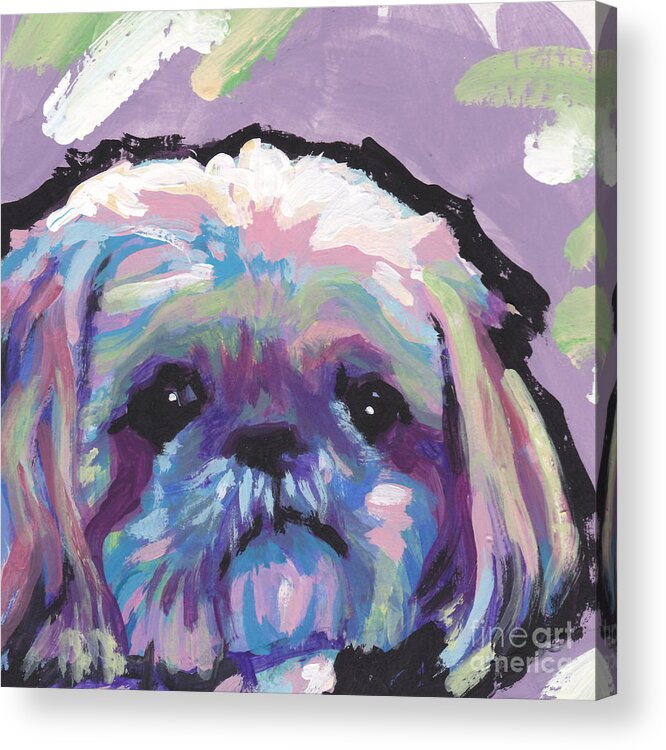 Shih Tzu Acrylic Print featuring the painting Ah Shitzy by Lea S