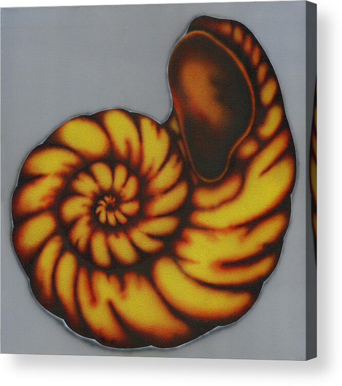 Shell Acrylic Print featuring the painting Amber. by Kenneth Clarke