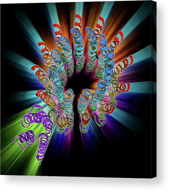 Adenosine Triphosphate Acrylic Print featuring the photograph Atp Synthase Molecule by Laguna Design