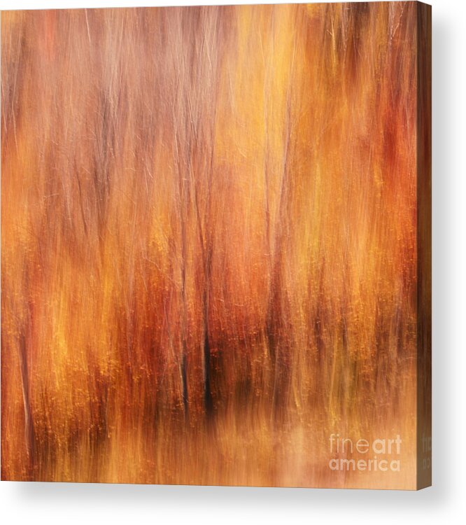 Autumn Acrylic Print featuring the photograph Autumn Canvas by Aimelle Ml