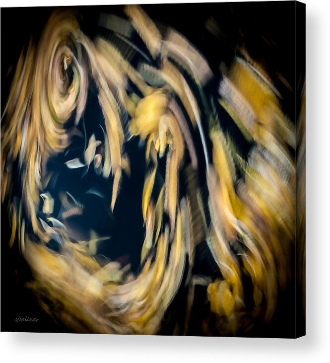 Abstract Acrylic Print featuring the photograph Autumn Storm by Steven Milner