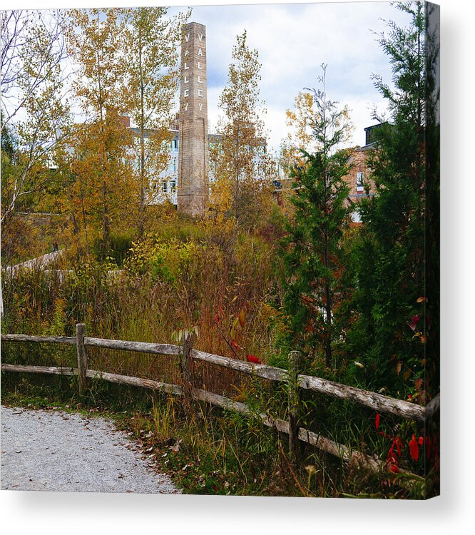 Toronto Acrylic Print featuring the photograph Autumn Stroll at The Brickworks by Laura Tucker