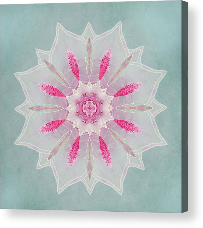Abstract Acrylic Print featuring the photograph Azalea Veil Lotus by Deborah Smith