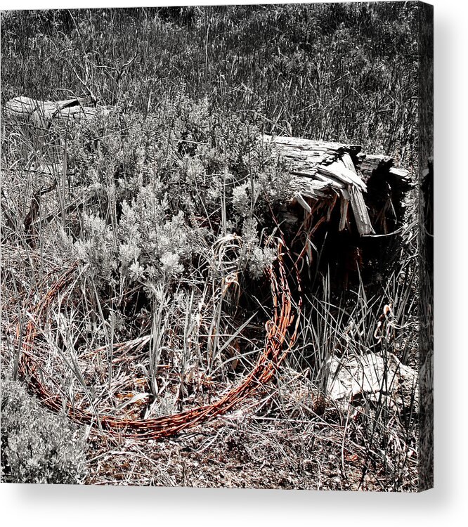 Barbwire Acrylic Print featuring the photograph Barbwire Wreath 1 by Susan Kinney