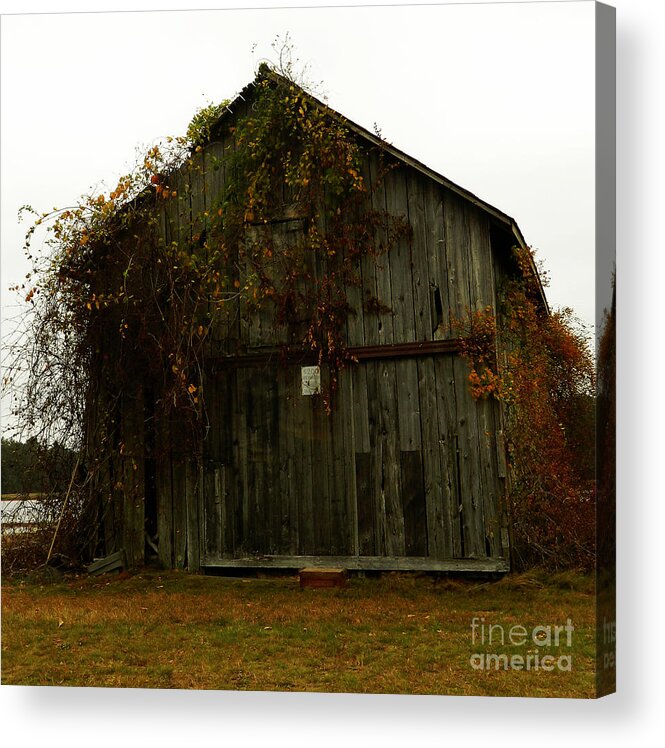 Fall Acrylic Print featuring the photograph Barn by Andrea Anderegg