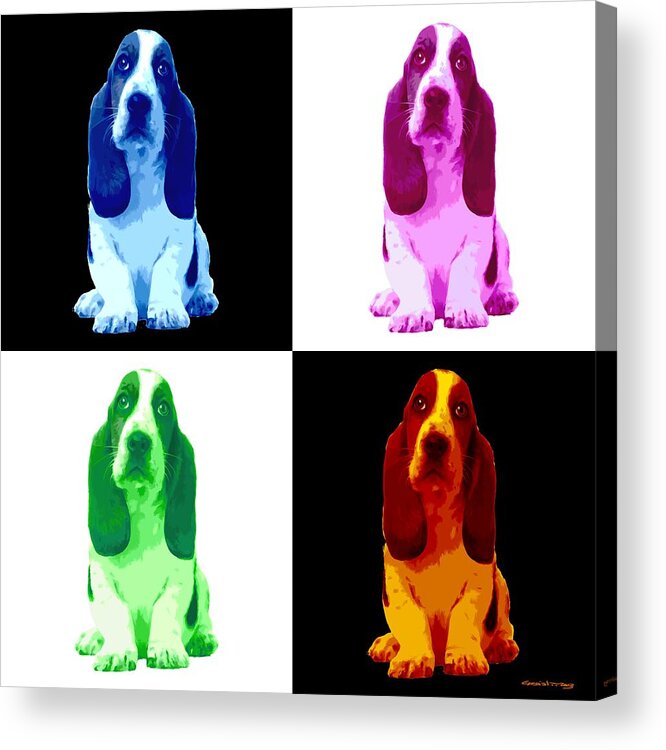 Puppy Acrylic Print featuring the digital art Basset Hound Puppy 4 Colors by Gabriel T Toro