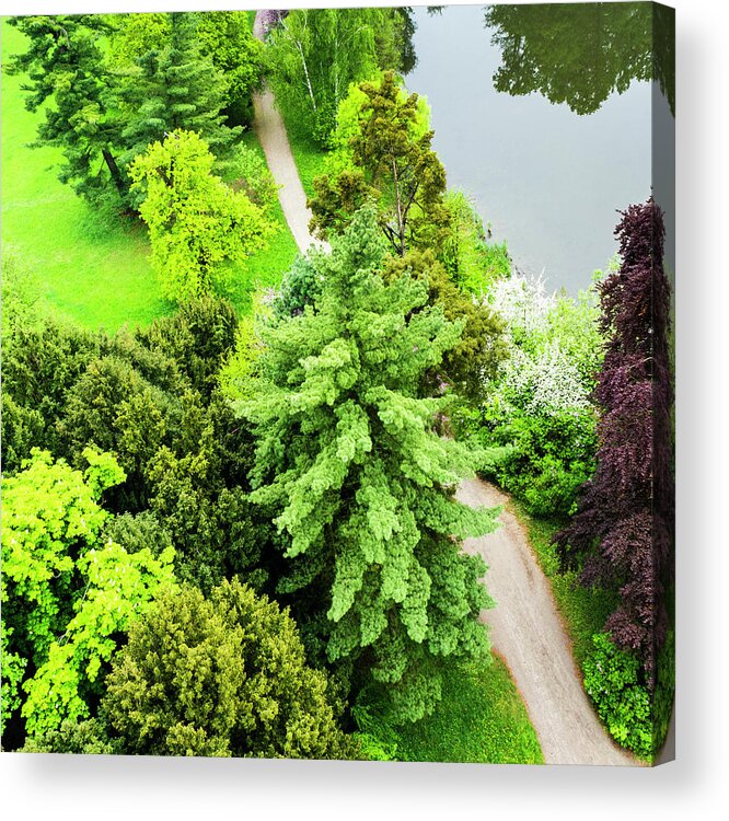 Scenics Acrylic Print featuring the photograph Beautiful Park With Trees, Grass by Domin domin