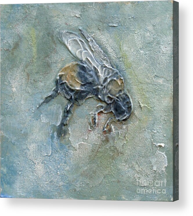 Bee Acrylic Print featuring the mixed media Bee Bumble by Phyllis Howard