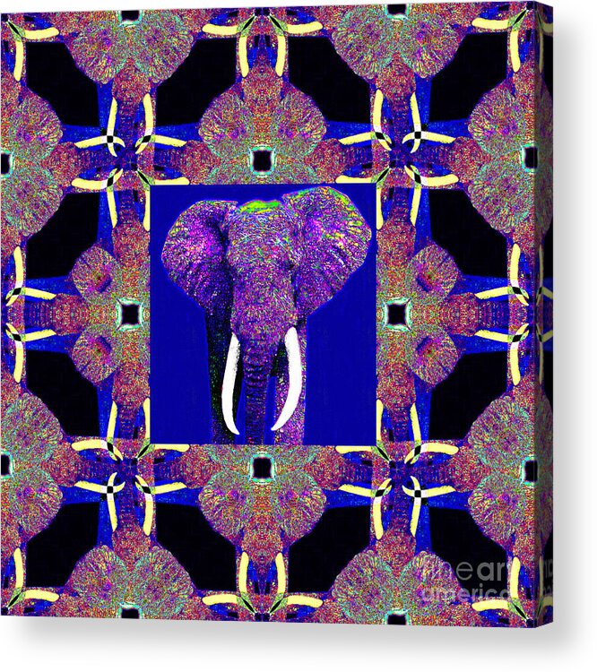 Elephant Acrylic Print featuring the photograph Big Elephant Abstract Window 20130201m118 by Wingsdomain Art and Photography