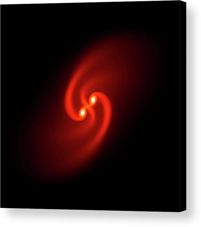 Star Acrylic Print featuring the photograph Binary Star Formation by Daniel Price/science Photo Library