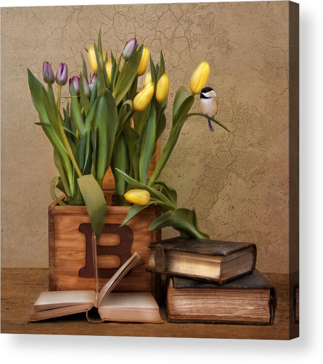 Bird Acrylic Print featuring the photograph Bird Books Blossoms by Robin-Lee Vieira