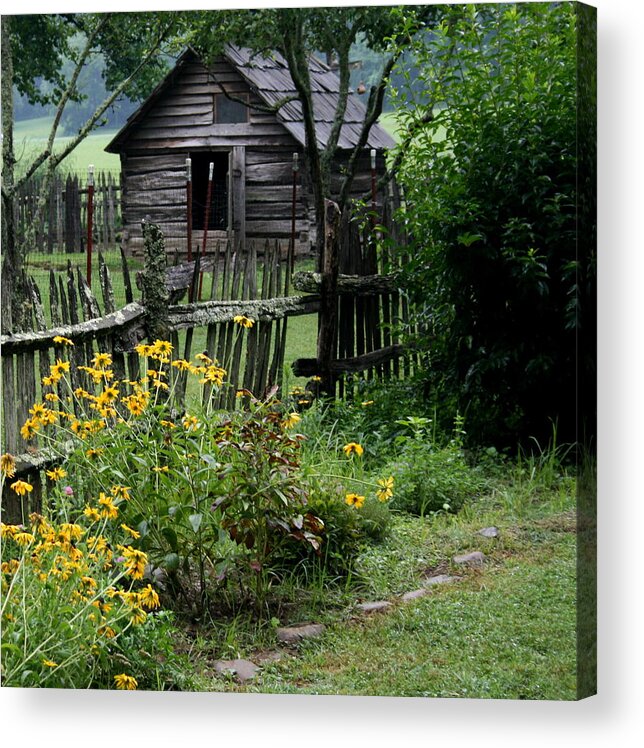 Nature Acrylic Print featuring the photograph Black-Eyed Susans by Cathy Harper