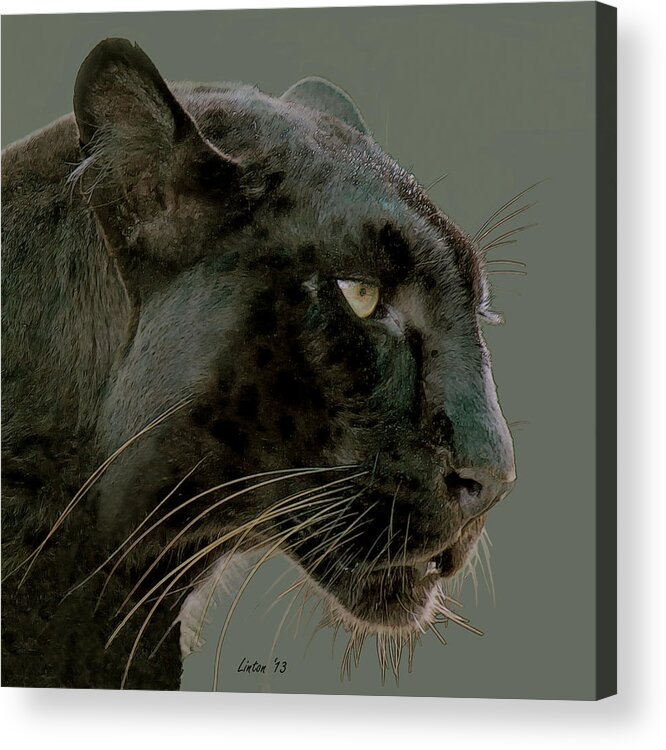 Black Panther Acrylic Print featuring the digital art Black Panther 4 by Larry Linton