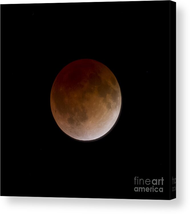 Blood Moon Acrylic Print featuring the photograph Blood Moon by Dennis Hedberg
