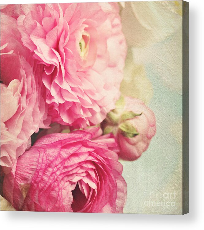 Ranunculus Acrylic Print featuring the photograph bloom - pink Ranunculus by Sylvia Cook