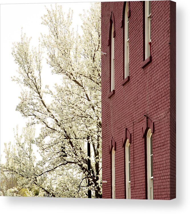 Red Brick Acrylic Print featuring the photograph Blossoms and Brick by Courtney Webster