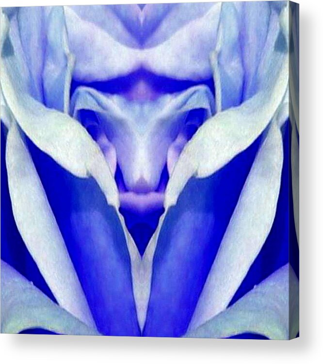 Blue Acrylic Print featuring the digital art Blue Boy Flower by Mary Russell