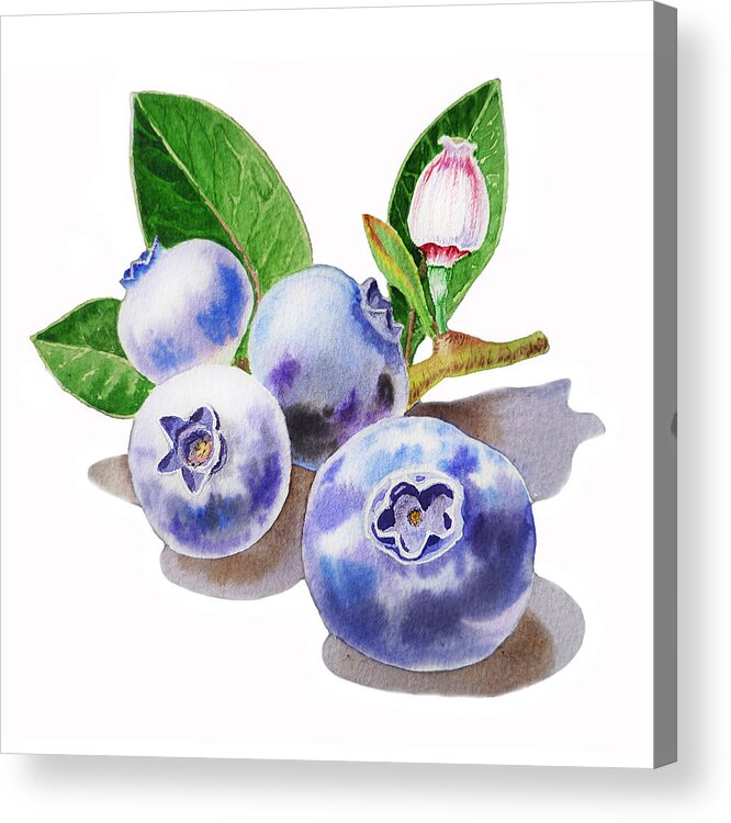 Blueberries Acrylic Print featuring the painting ArtZ Vitamins The Blueberries by Irina Sztukowski
