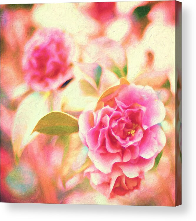 Blush Roses Texture Painting Acrylic Print featuring the painting Blush Strokes by Joel Olives