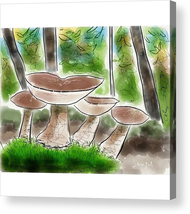 Myco Acrylic Print featuring the photograph Bolete Mushrooms, Illinois Woods by Jenny Moran