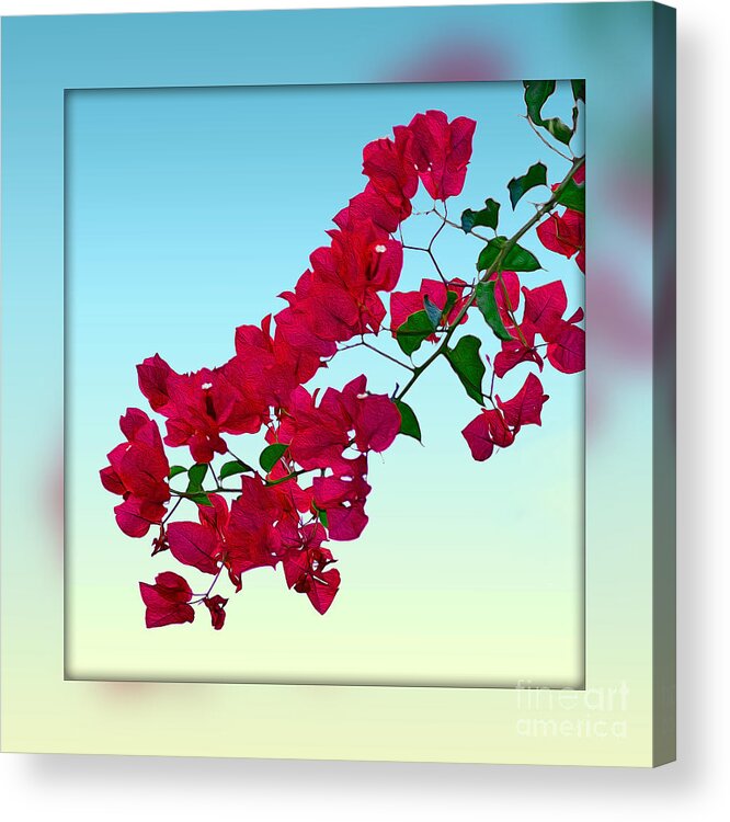 Photography Acrylic Print featuring the tapestry - textile Bougainvillea Art by Kaye Menner