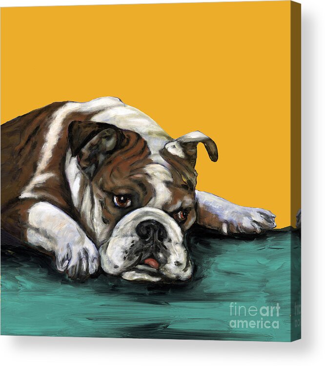 Bull Dog Acrylic Print featuring the painting Bulldog On Yellow by Dale Moses