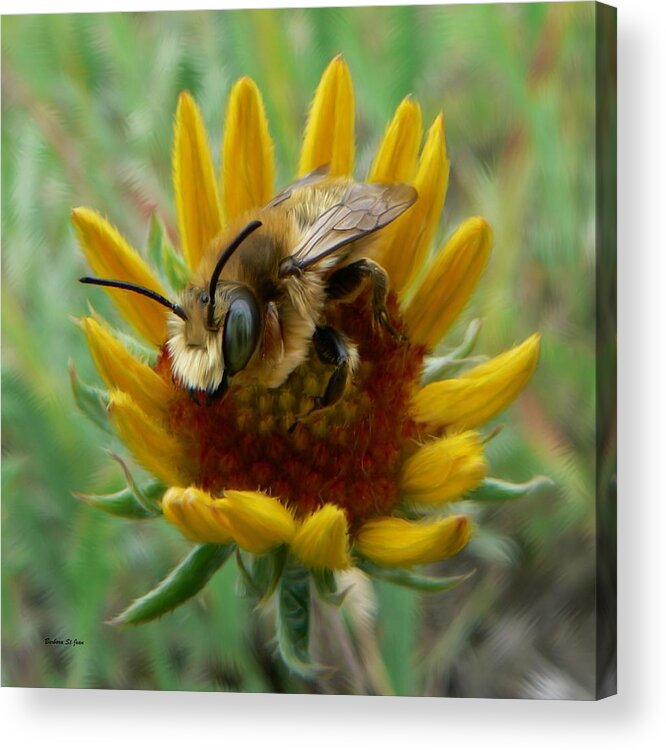 Bumble Bee Beauty Acrylic Print featuring the photograph Bumble Bee Beauty by Barbara St Jean