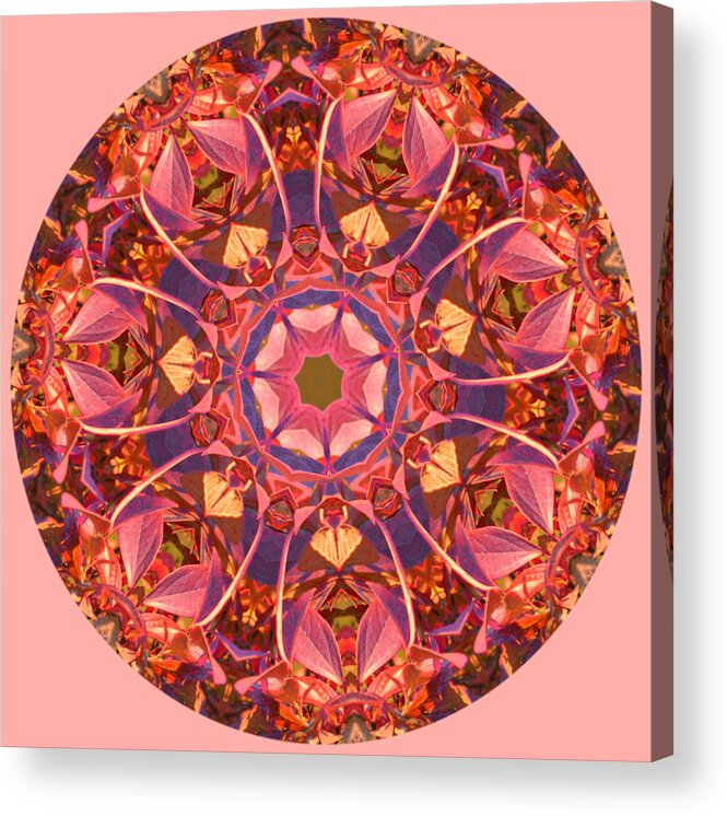 Fall Acrylic Print featuring the photograph Burst of Fall Mandala by Beth Venner