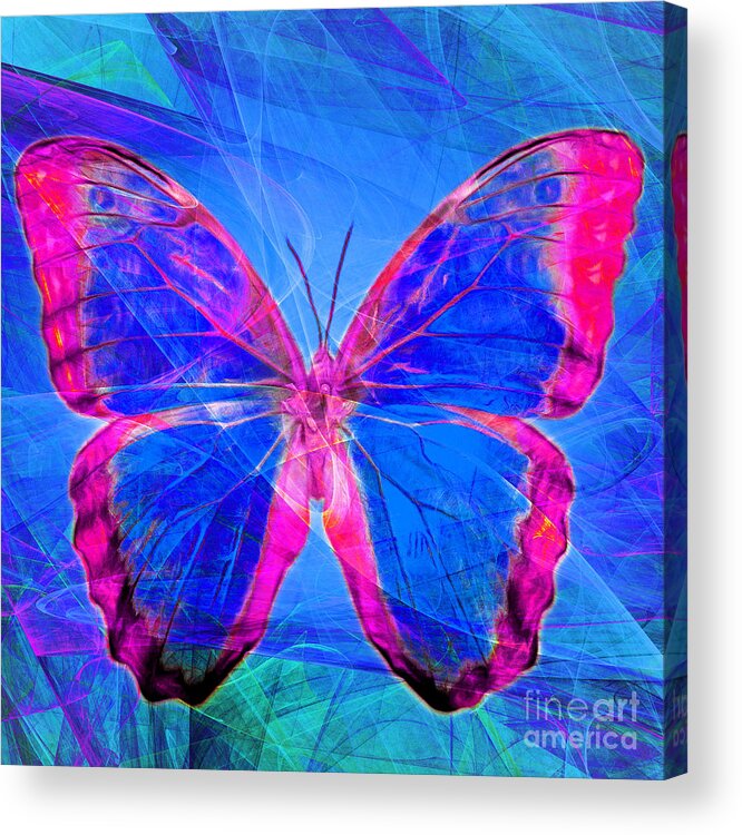 Butterfly Acrylic Print featuring the photograph Butterfly DSC2969p32 square by Wingsdomain Art and Photography