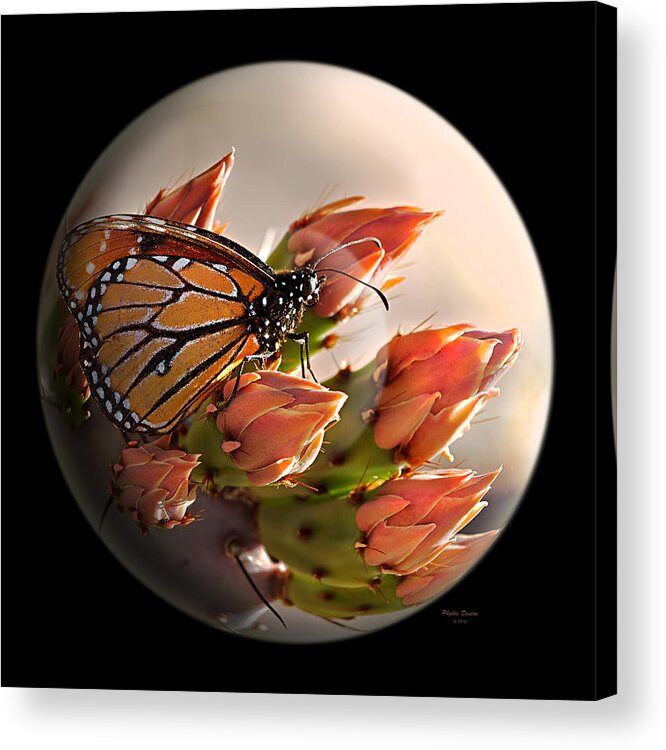Butterfly Acrylic Print featuring the photograph Butterfly In A Globe by Phyllis Denton