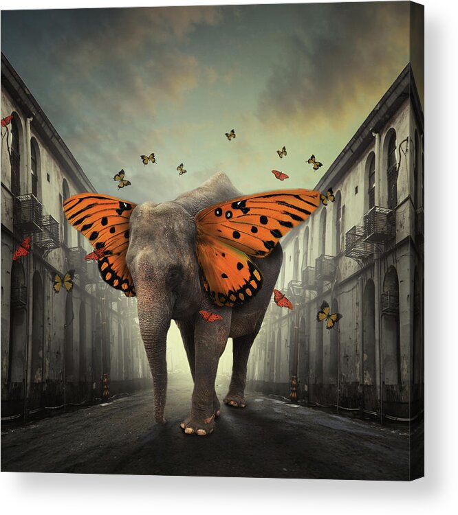 Creative Edit Acrylic Print featuring the photograph Butterphant by Hardibudi
