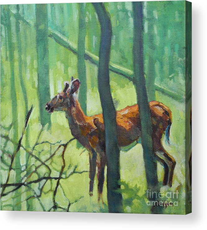 Deer Acrylic Print featuring the painting Button Buck by Patricia A Griffin